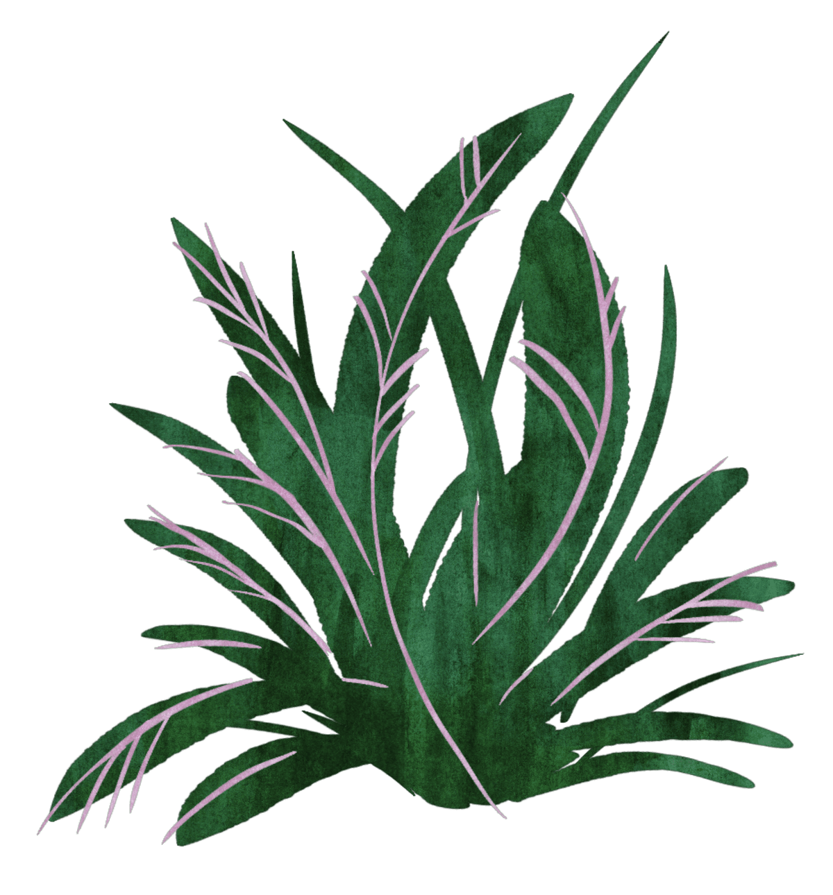 bush background
