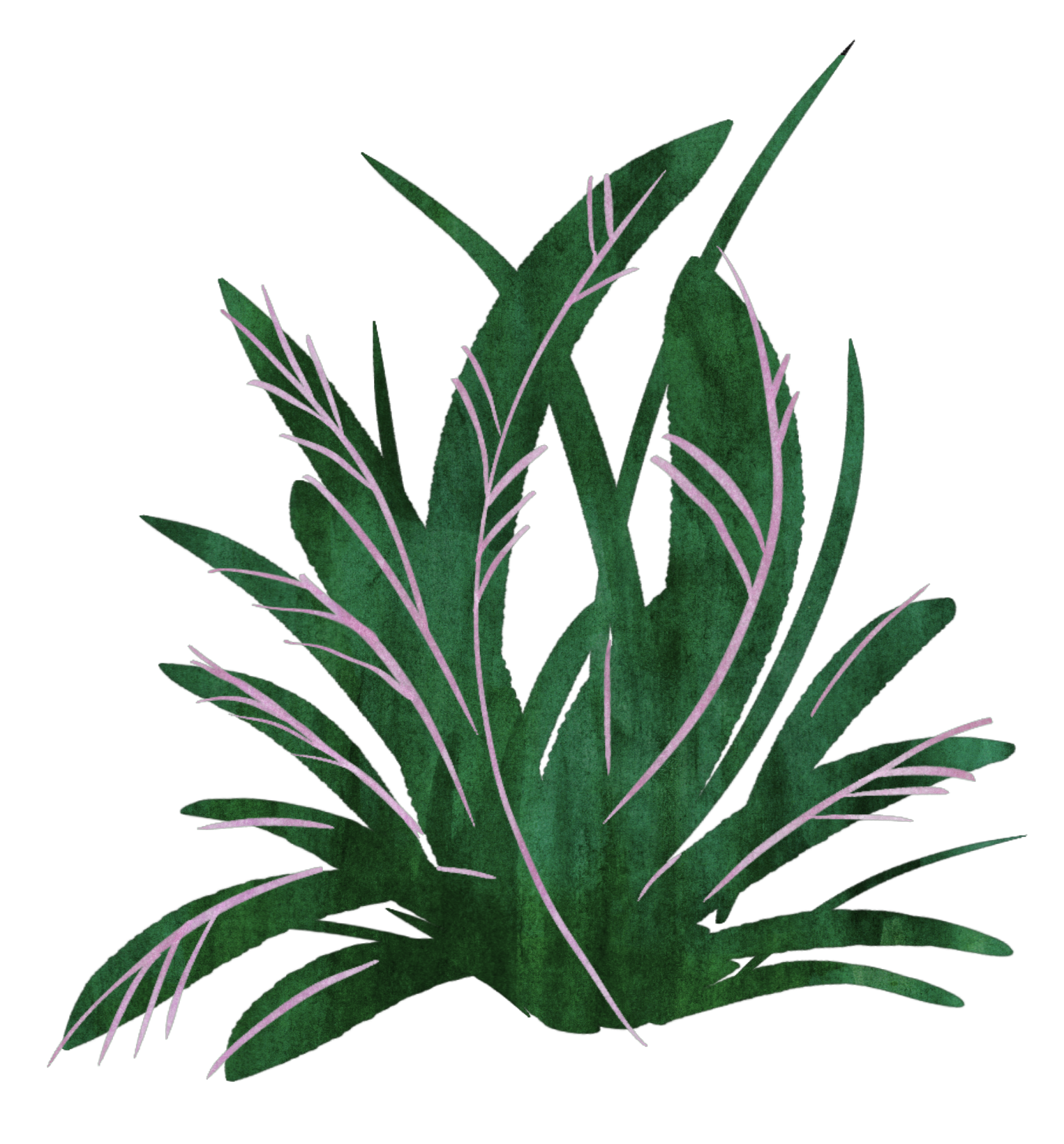 bush background
