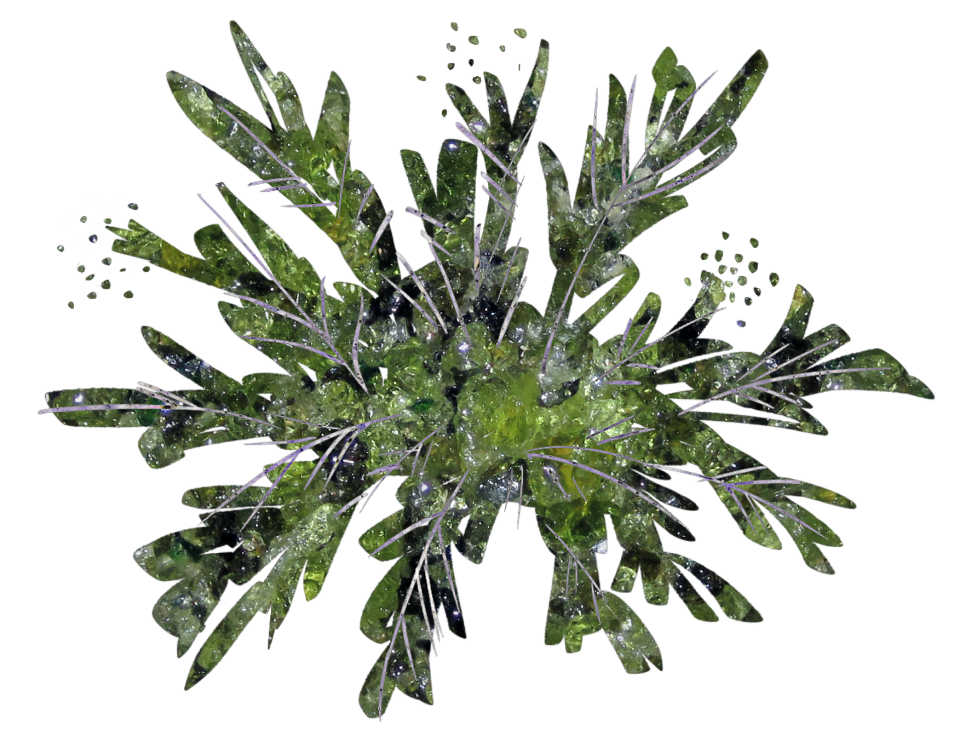 bush background
