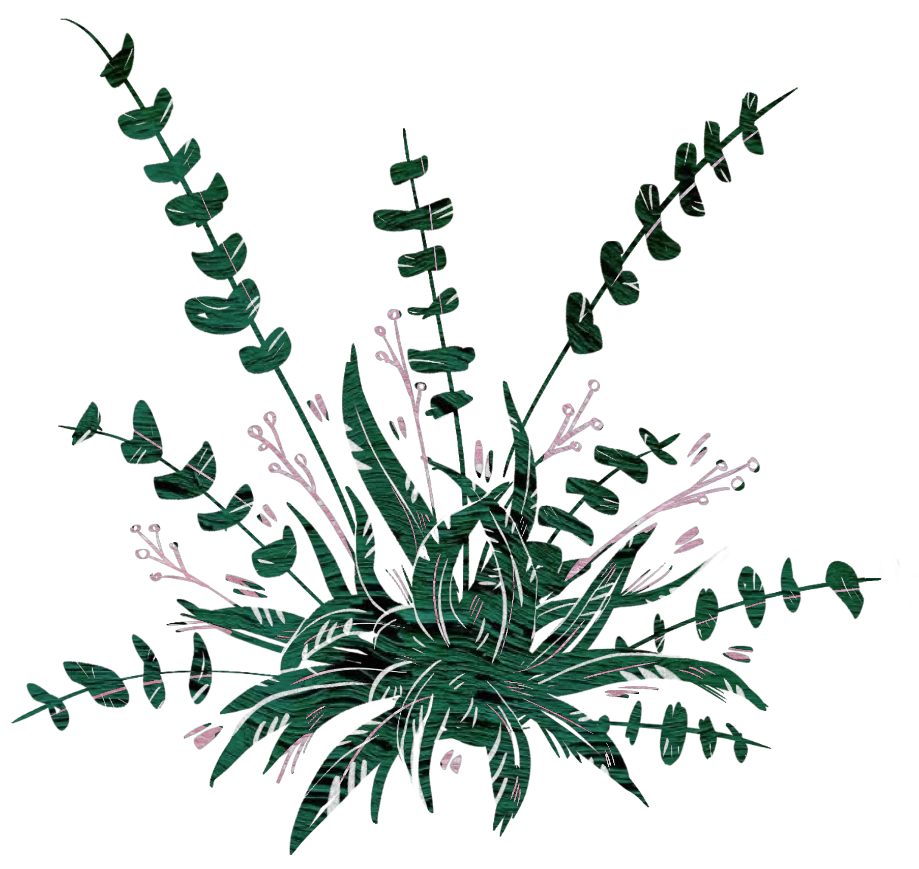 bush background