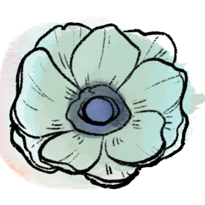 anemone