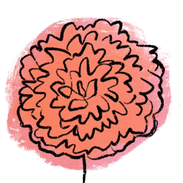 dahlia