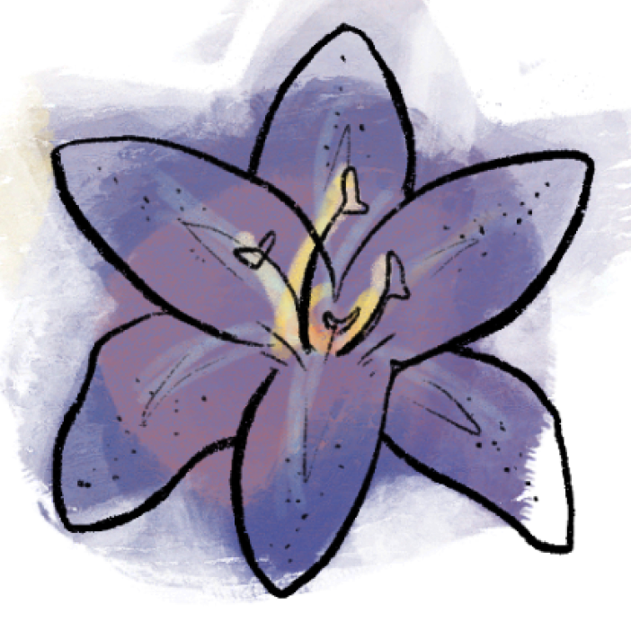 lily