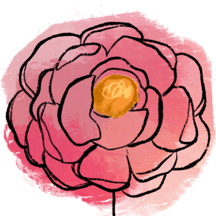 anemone flower