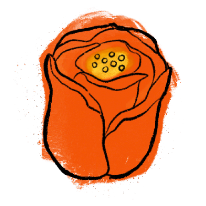 tulip