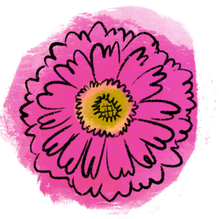 zinnia