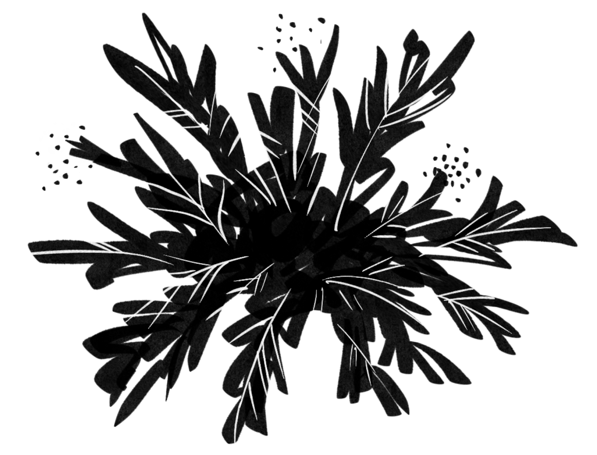 bush background