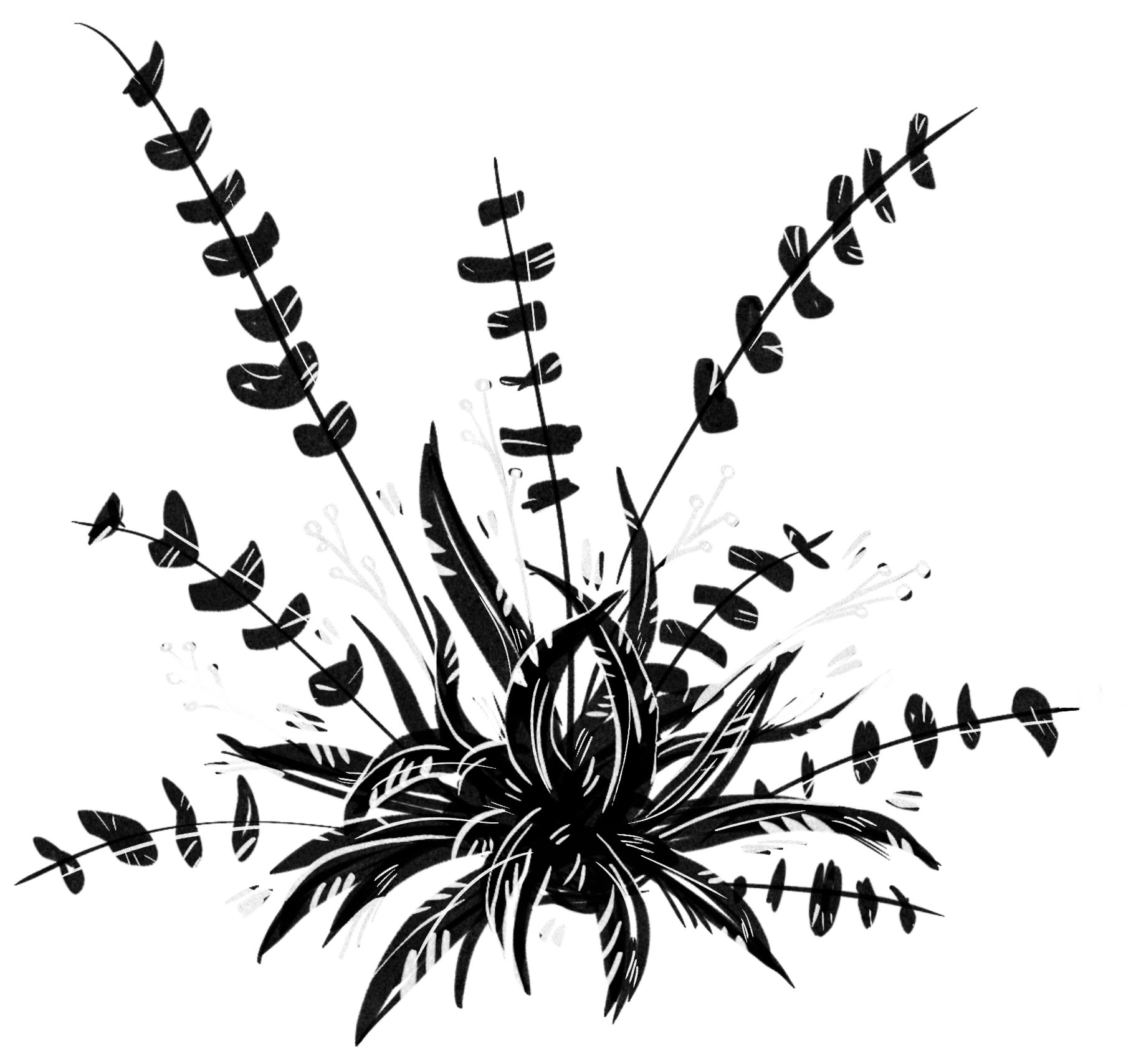 bush background