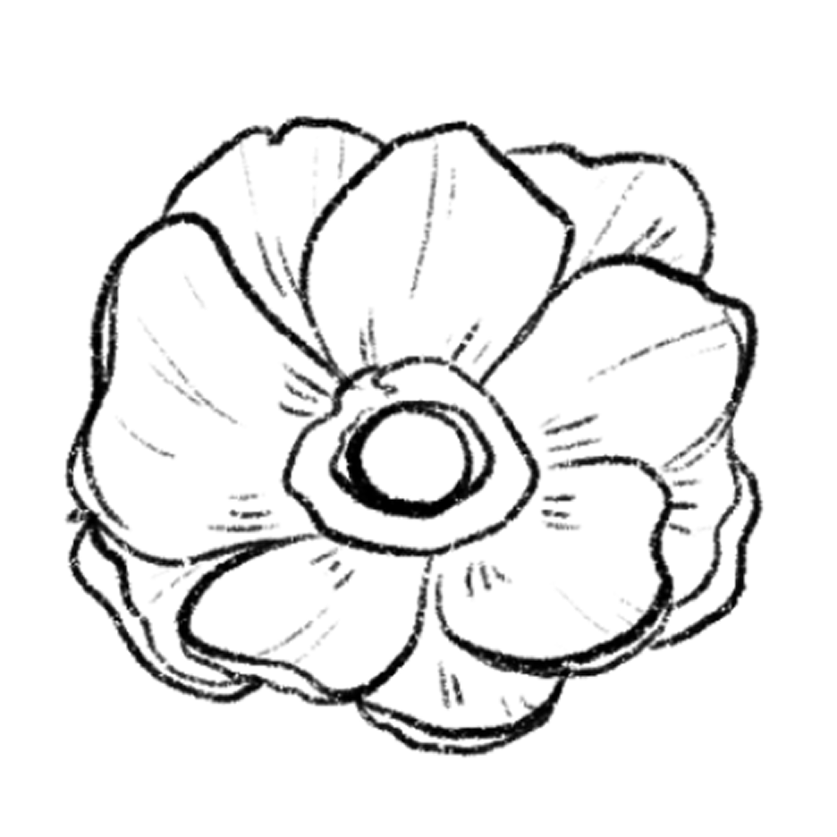 anemone