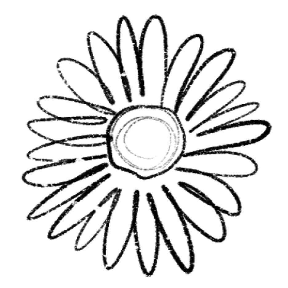 daisy