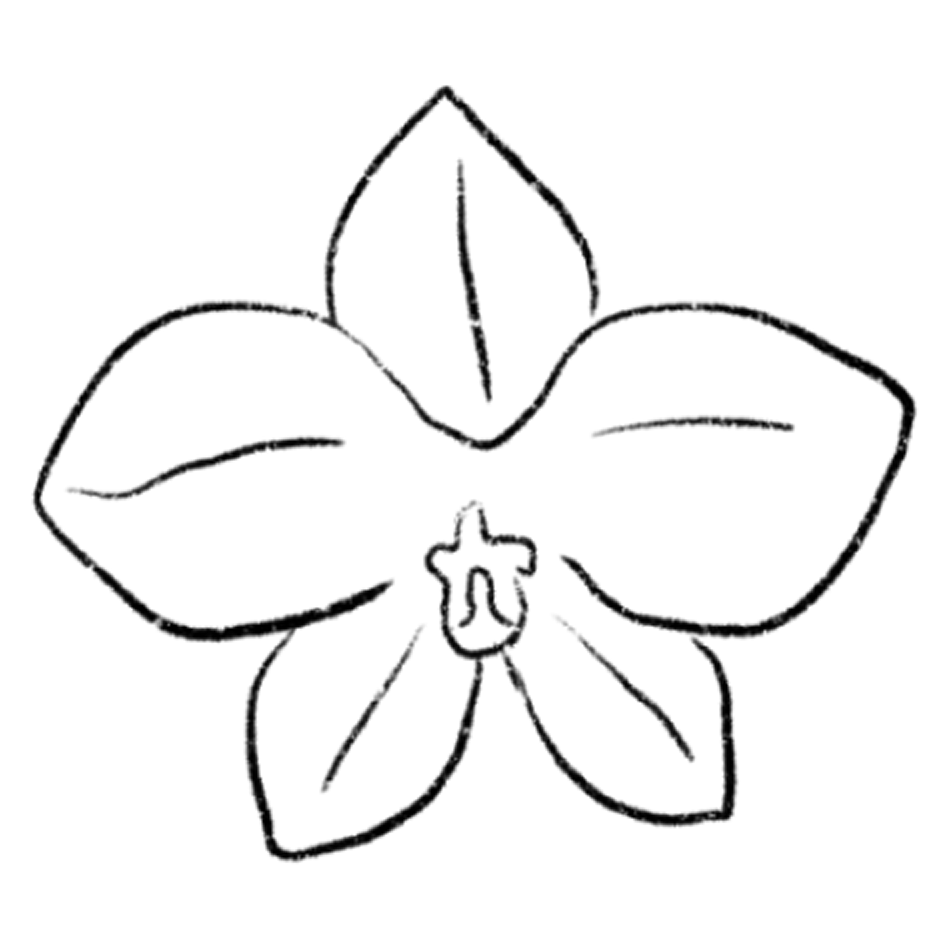orchid