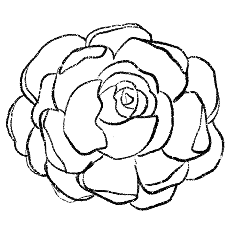 peony