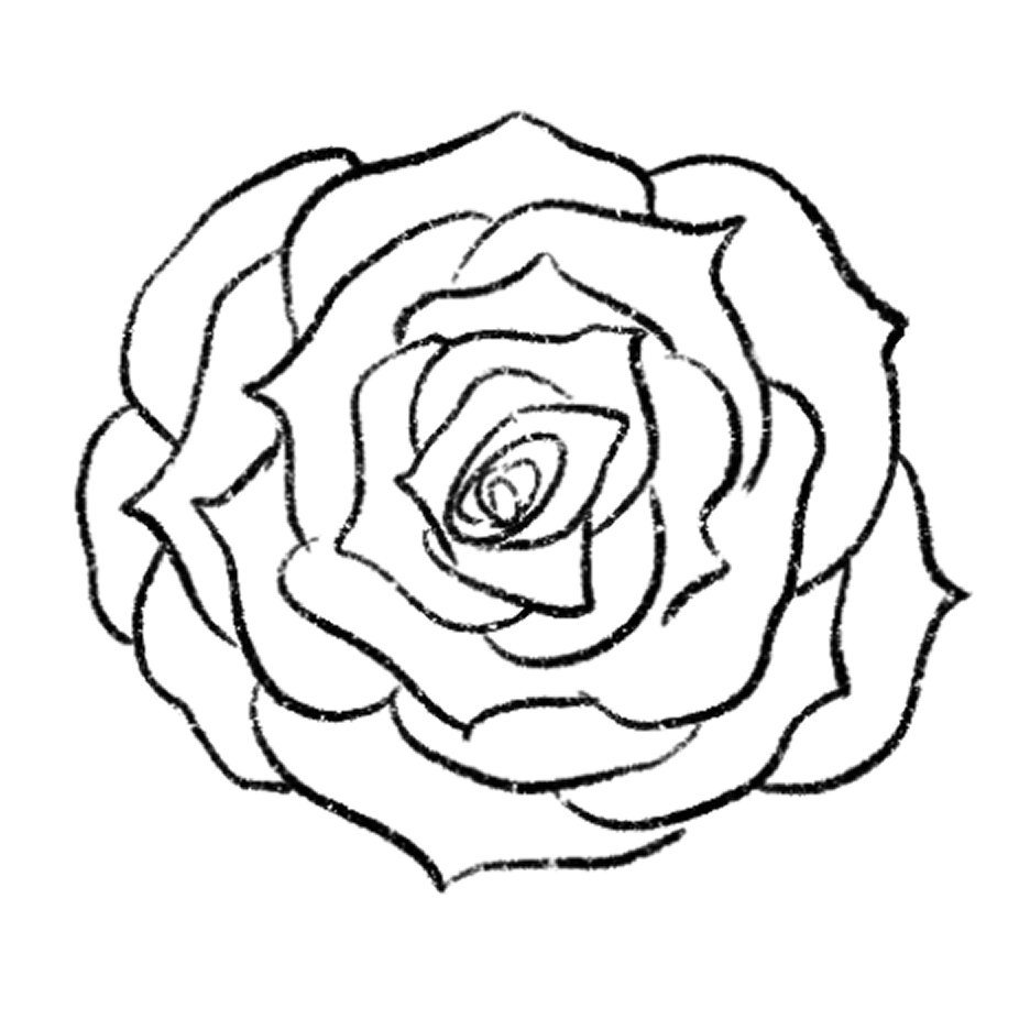 rose
